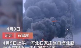 开平最新爆料事件视频大全,视频大全揭秘惊人真相