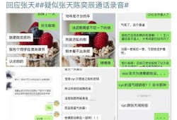 陈奕辰最新爆料消息视频,事件真相与幕后黑幕大起底